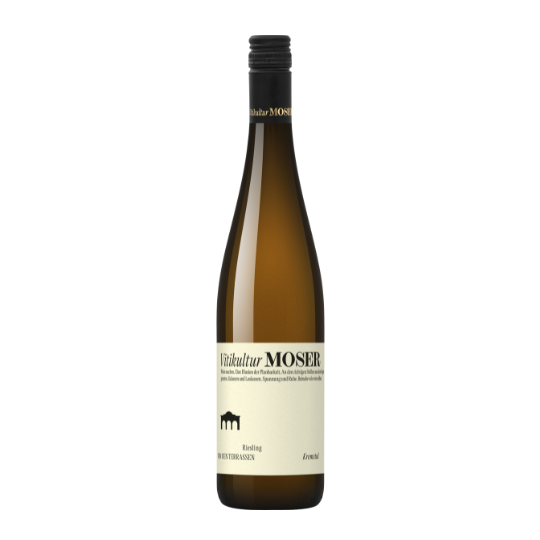 Riesling von den Terrassen 2025