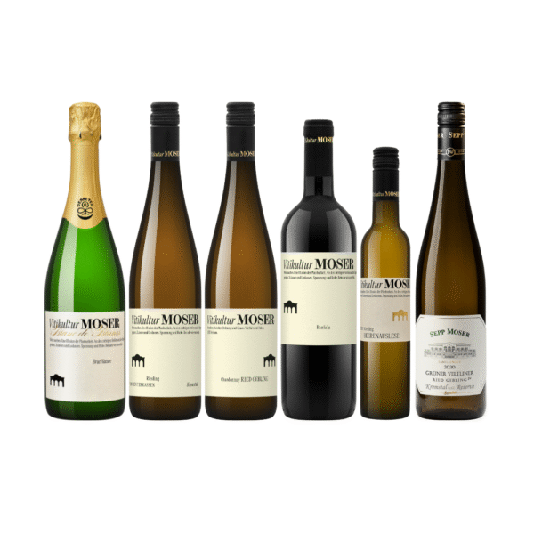 Weinbegleitung zum Menü