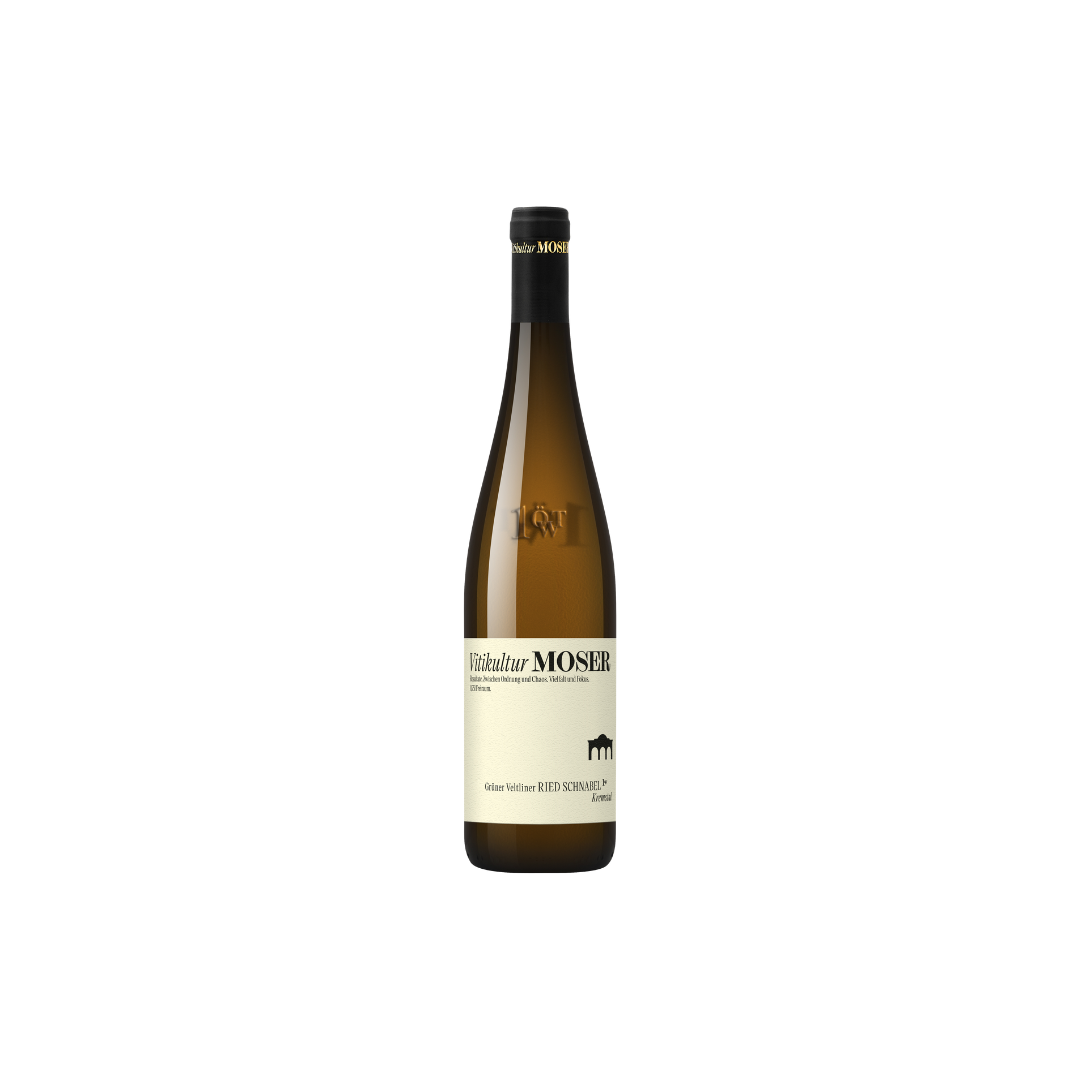 Grüner Veltliner Ried Schnabel 2023 Erste Lage